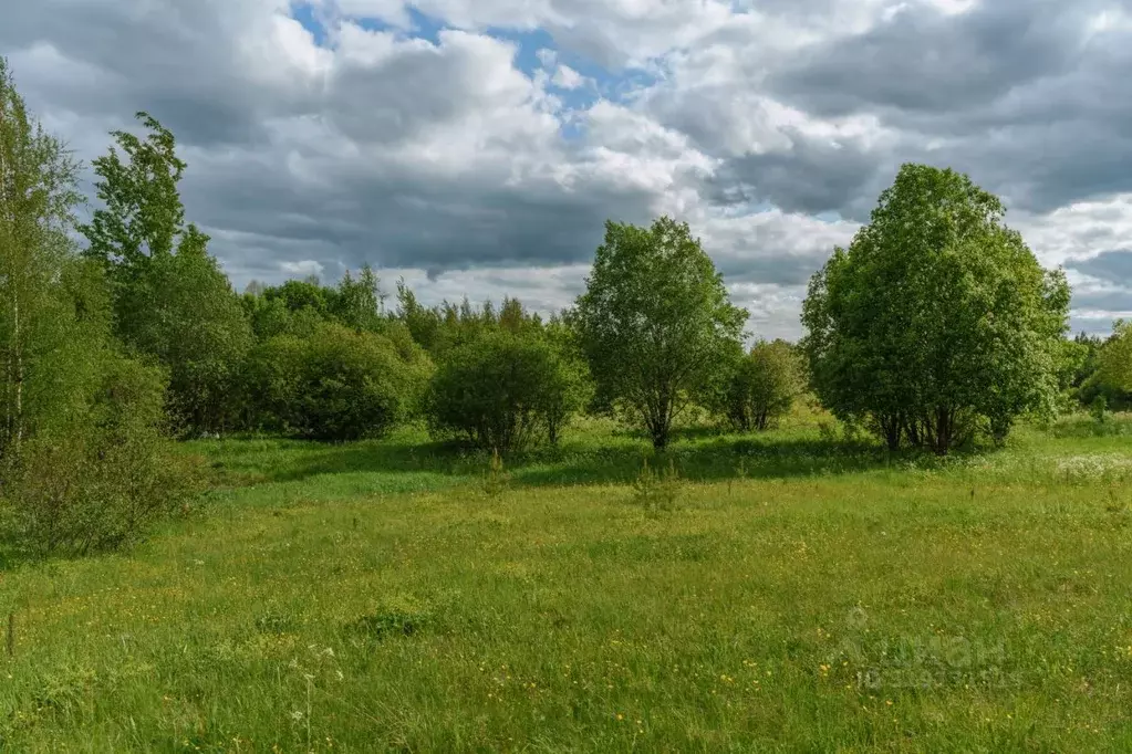 Участок в Ленинградская область, Всеволожский район, Лесколовское ... - Фото 1