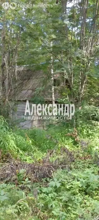 Участок в посёлок Мичуринское, территория Труд (10 м) - Фото 2