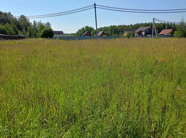 Участок в Московская область, Орехово-Зуевский городской округ, д. ... - Фото 1