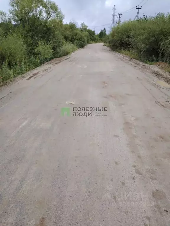 Участок в Амурская область, Благовещенский район, с. Чигири  (30.0 ... - Фото 1