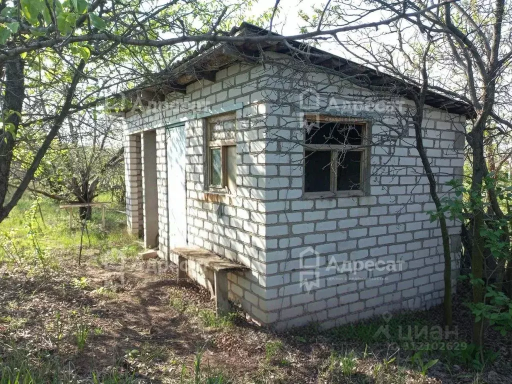 Участок в Волгоградская область, Волгоград Дзержинец СНТ, Степной ... - Фото 1
