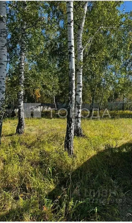 Участок в Новосибирская область, Новосибирский район, Криводановский ... - Фото 1