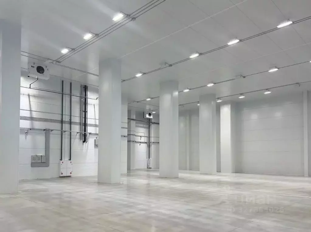 Склад в Московская область, Солнечногорск городской округ, Ржавки пгт ... - Фото 2