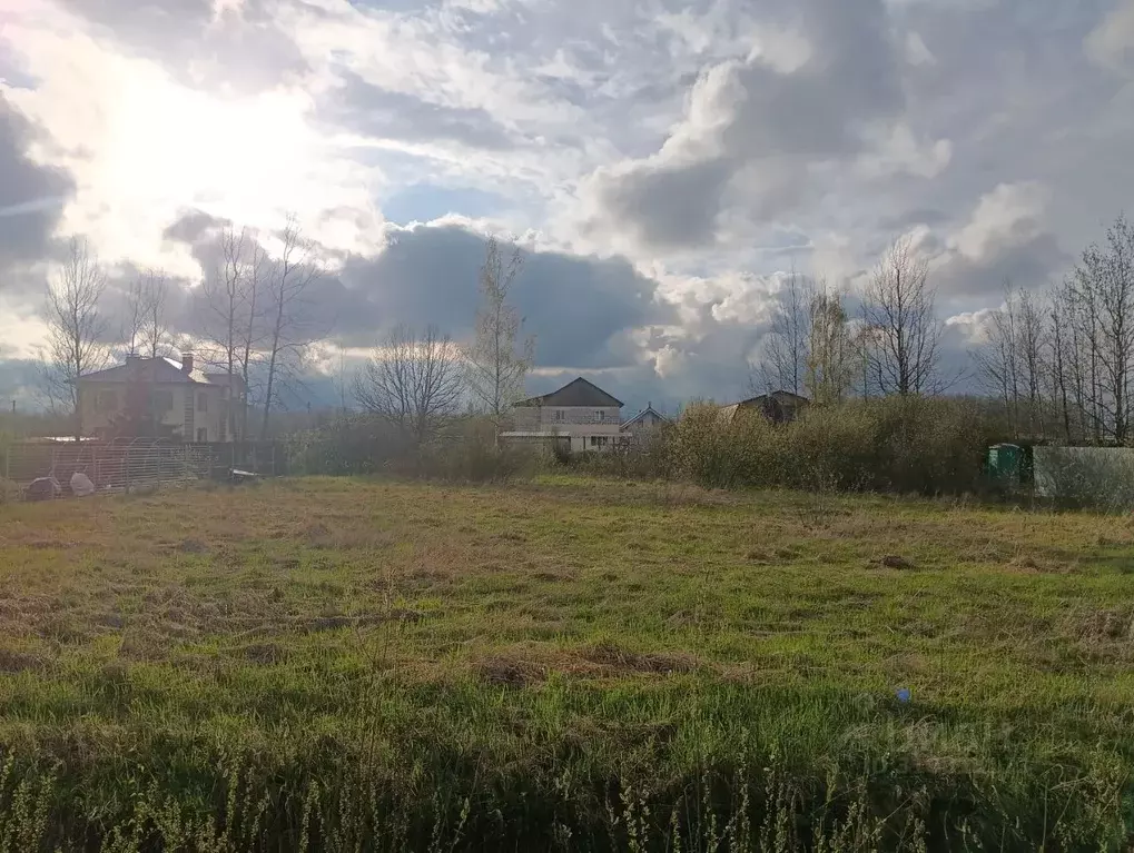 Участок в Новгородская область, Новгородский район, Савинское с/пос, ... - Фото 0