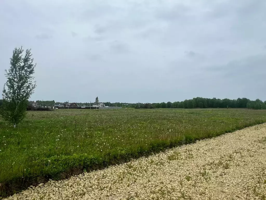 Участок в Ленинградская область, Ломоносовский район, Ропшинское ... - Фото 0
