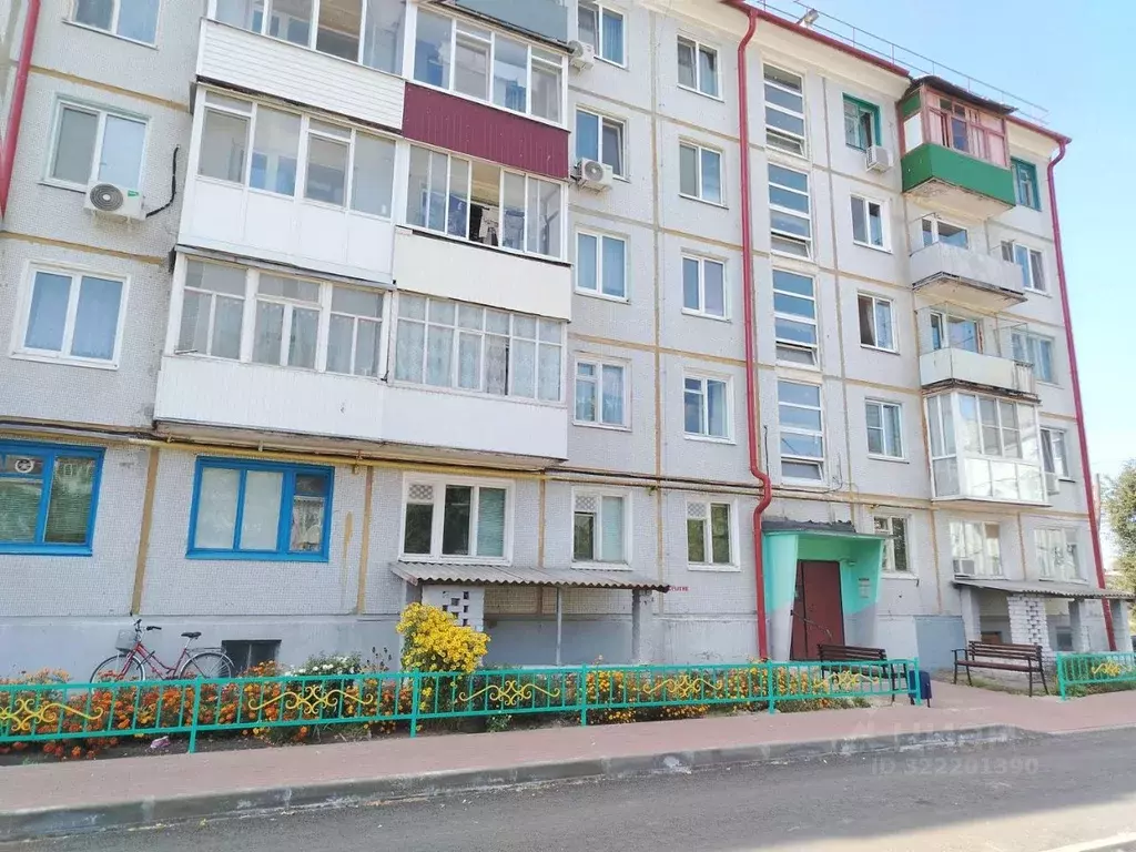 2-к кв. Брянская область, Жуковка пер. Заводской проезд, 6 (44.0 м) - Фото 0