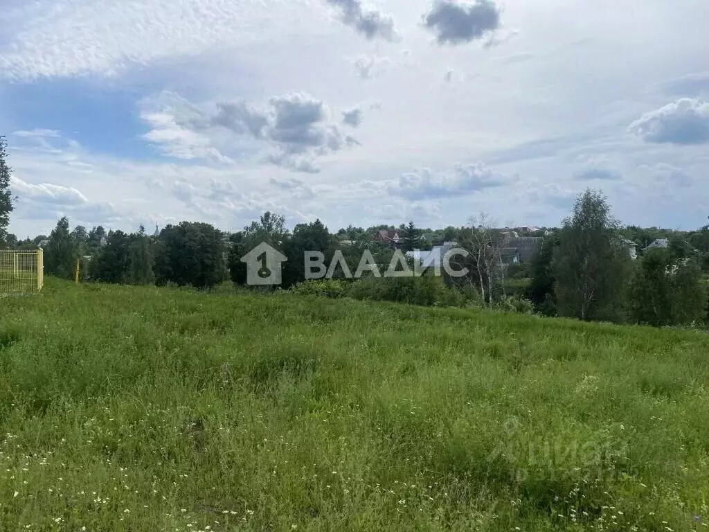 Участок в Владимирская область, Владимир с. Мосино, ул. Летняя, 25 ... - Фото 1