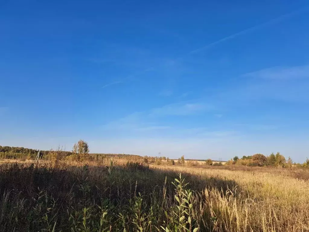 Участок в Московская область, Кашира городской округ, д. Никулино  ... - Фото 0