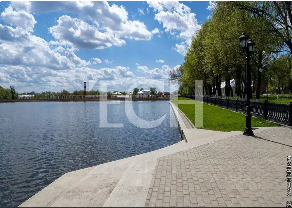 Участок в Тульская область, Богородицк ул. 10-й Армии, 17 (164.09 ... - Фото 2