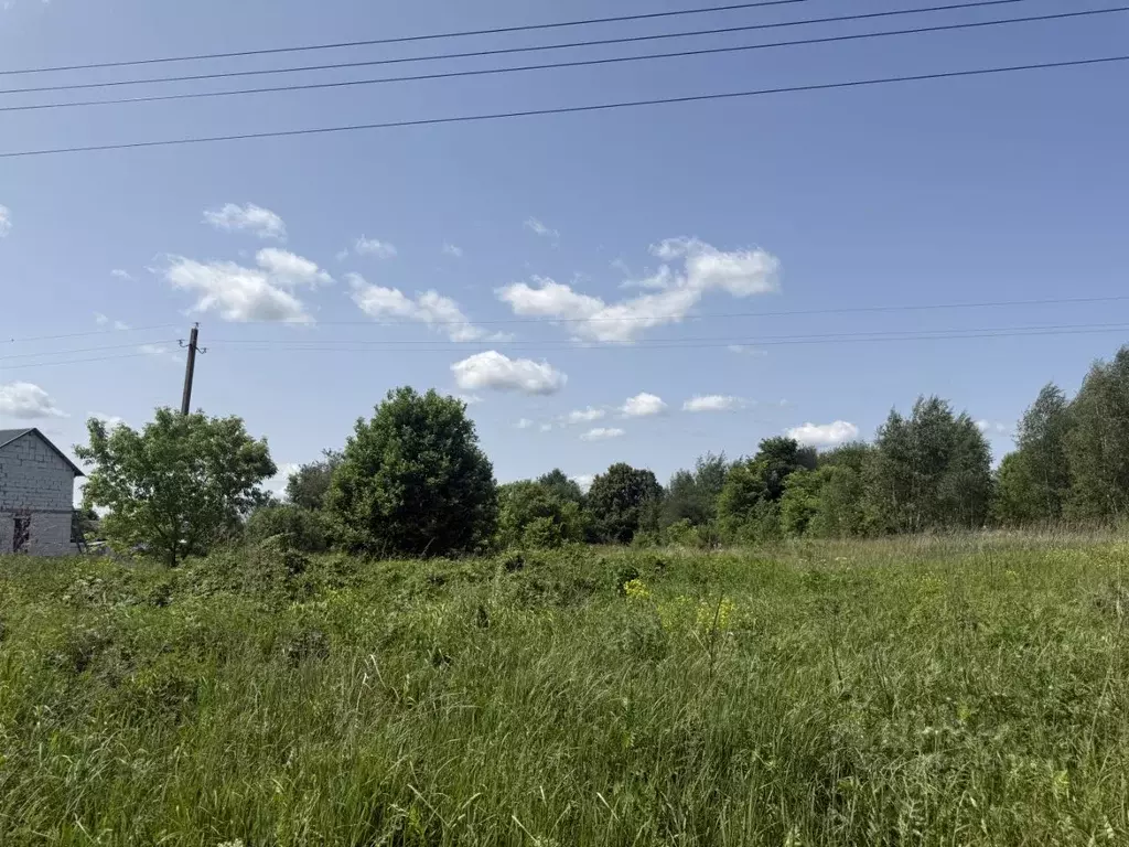 Участок в Калужская область, Жуковский муниципальный округ, Верховье ... - Фото 2