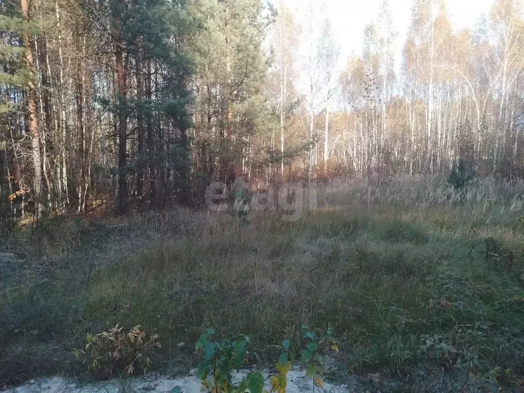 Участок в Нижегородская область, Нижний Новгород пос. Березовая Пойма, ... - Фото 2