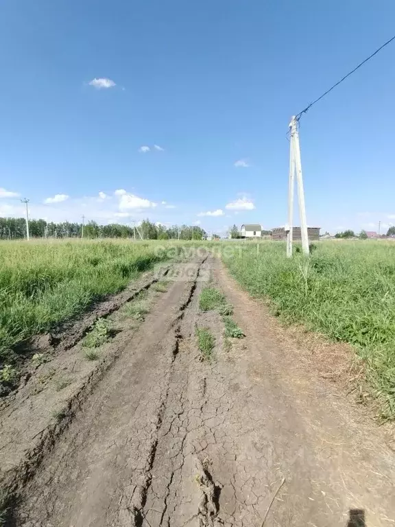 Участок в Омская область, Омский район муниципальный округ, с. Пушкино ... - Фото 1