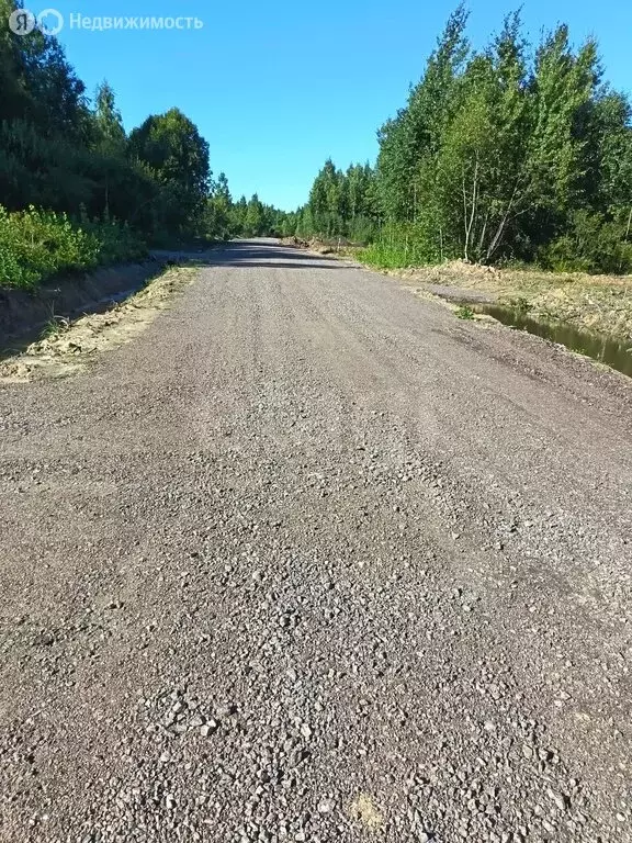 Участок в Волхов, улица Зелёное кольцо (6.47 м) - Фото 2