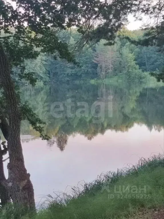 Дом в Брянская область, Дятьковский район, Верховское с/пос, д. ... - Фото 2