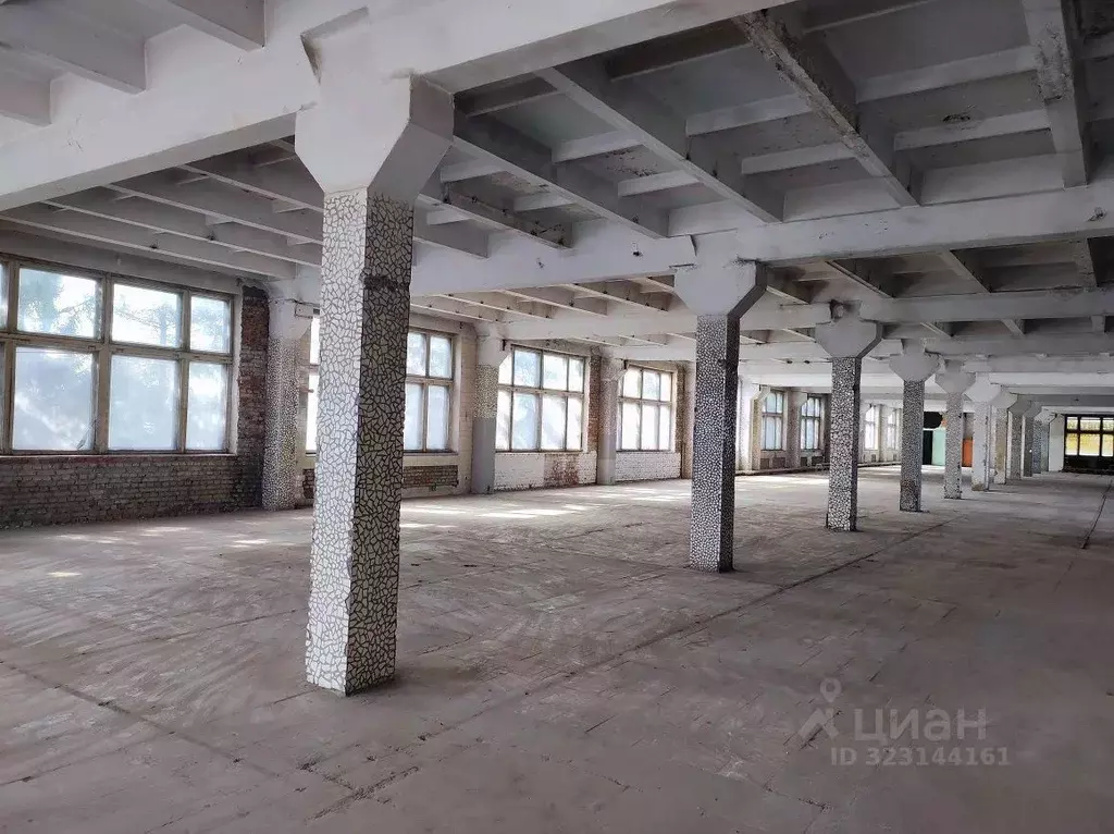 Производственное помещение в Новосибирская область, Искитим ул. ... - Фото 2