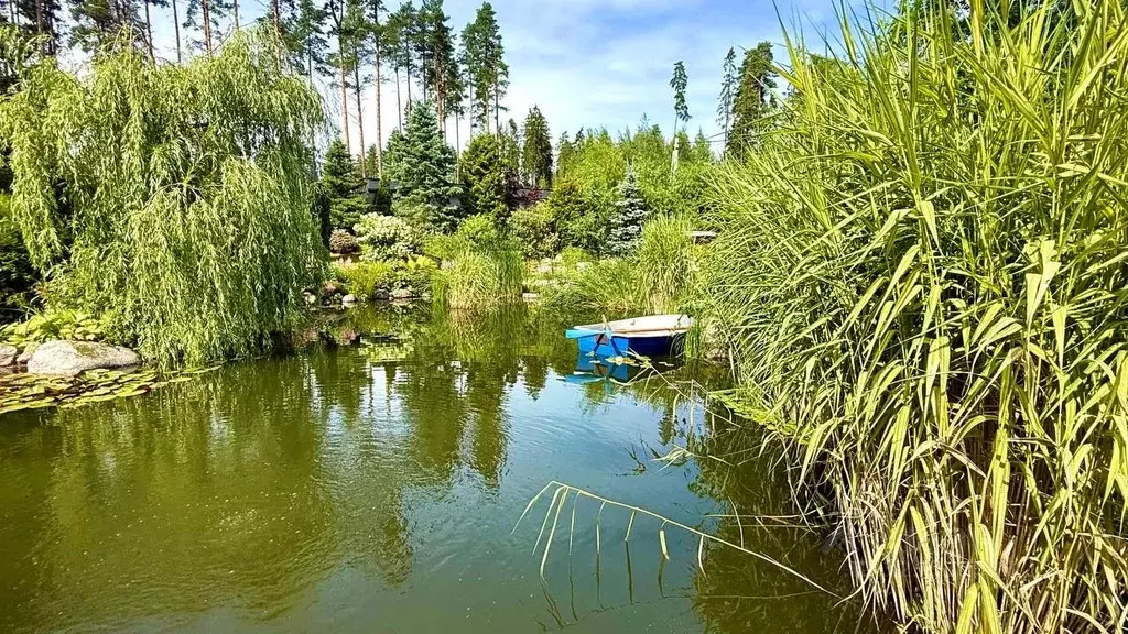 Участок в Ленинградская область, Выборгский район, Первомайское с/пос, ... - Фото 0