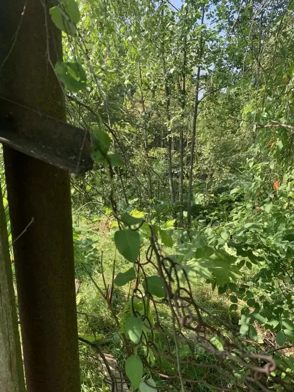 Участок в Московская область, Чехов муниципальный округ, д. Баранцево  ... - Фото 1
