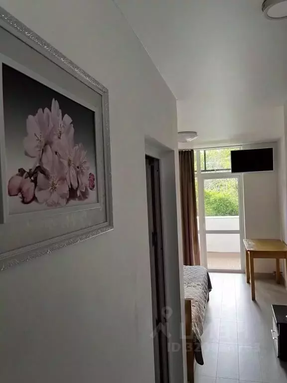 1-к кв. Краснодарский край, Сочи пос. Лоо, ул. Весенняя, 15 (20.0 м) - Фото 2