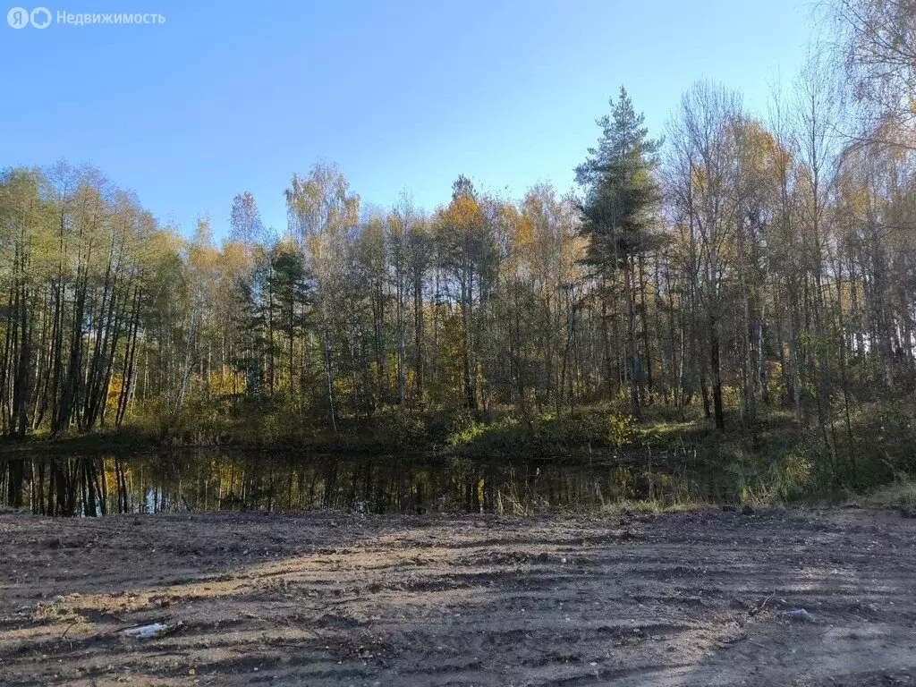 Участок в Московская область, Раменский муниципальный округ, ... - Фото 1