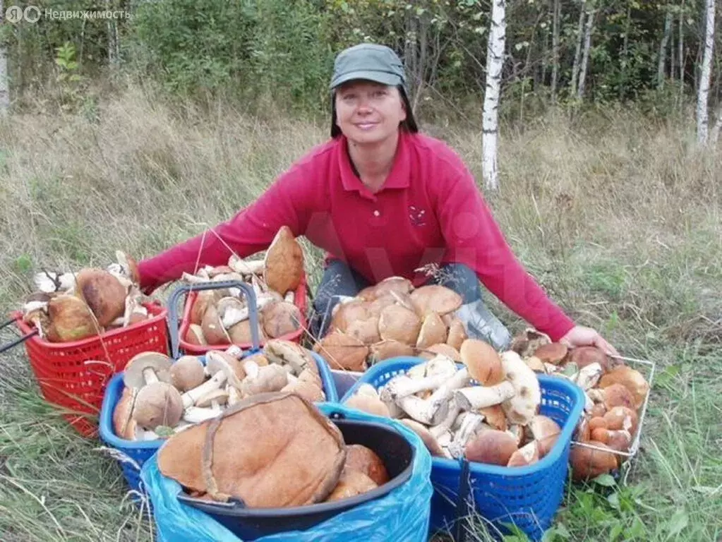 Дом в Нижегородская область, Лысковский муниципальный округ, ... - Фото 1