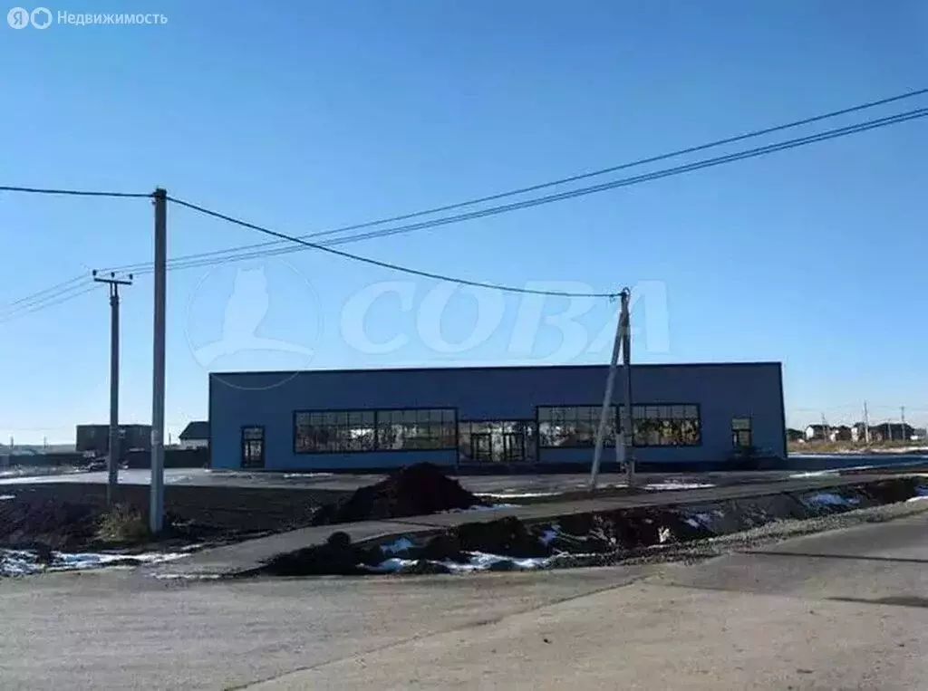 Участок в Тюменский район, деревня Падерина (8.1 м) - Фото 1