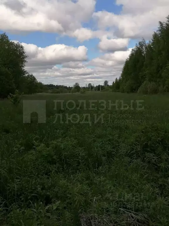Участок в Новгородская область, Маловишерский район, Бургинское с/пос, ... - Фото 2
