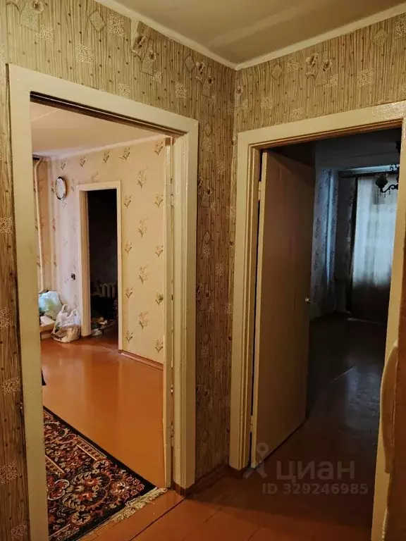 3-к кв. Нижегородская область, Саров ул. Александровича, 43 (56.2 м) - Фото 1