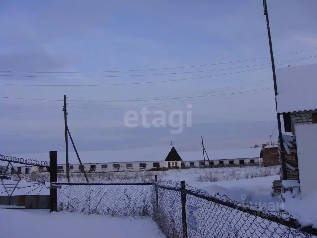 Склад в Курганская область, Шатровский муниципальный округ, д. Ударник ... - Фото 1