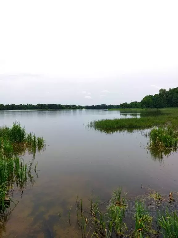 Участок в Московская область, Егорьевск муниципальный округ, д. ... - Фото 1