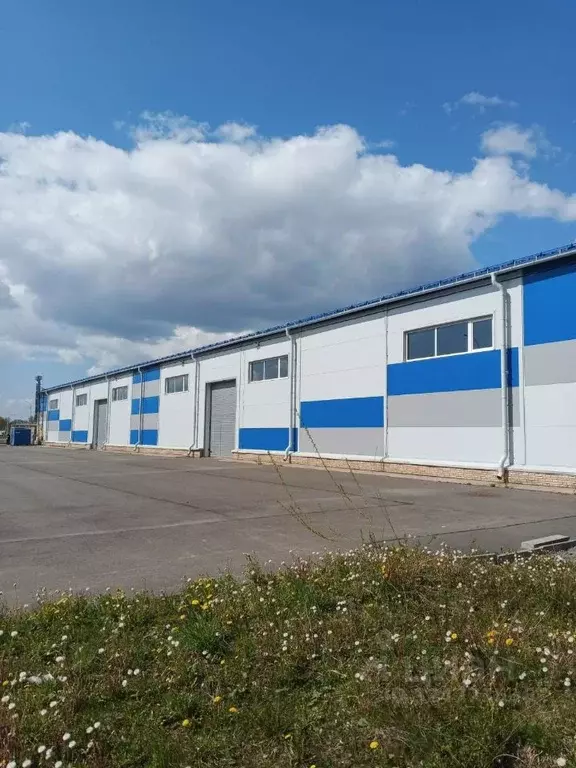 Помещение свободного назначения в Ленинградская область, Всеволожск ш. ... - Фото 1