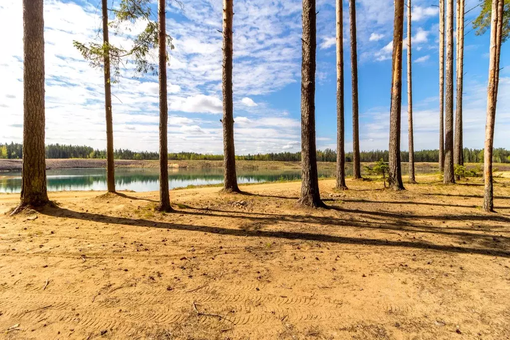 Дом в Ленинградская область, Ломоносовский район, Пениковское с/пос, ... - Фото 1