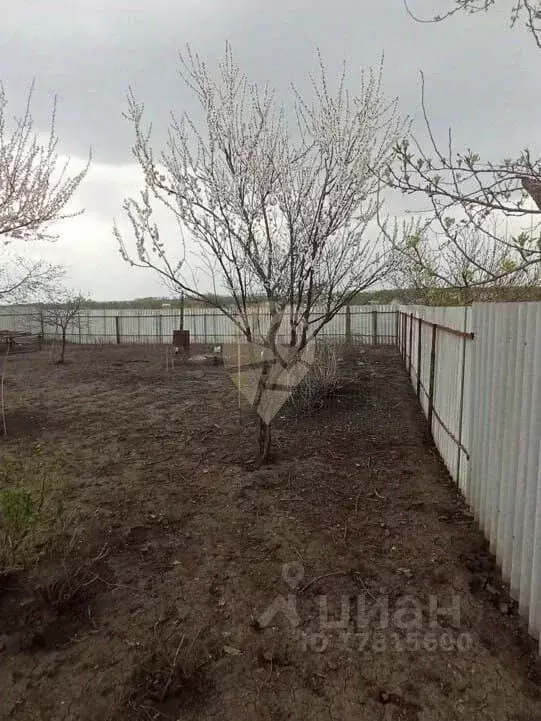 Участок в Белгородская область, Старооскольский городской округ, с. ... - Фото 0