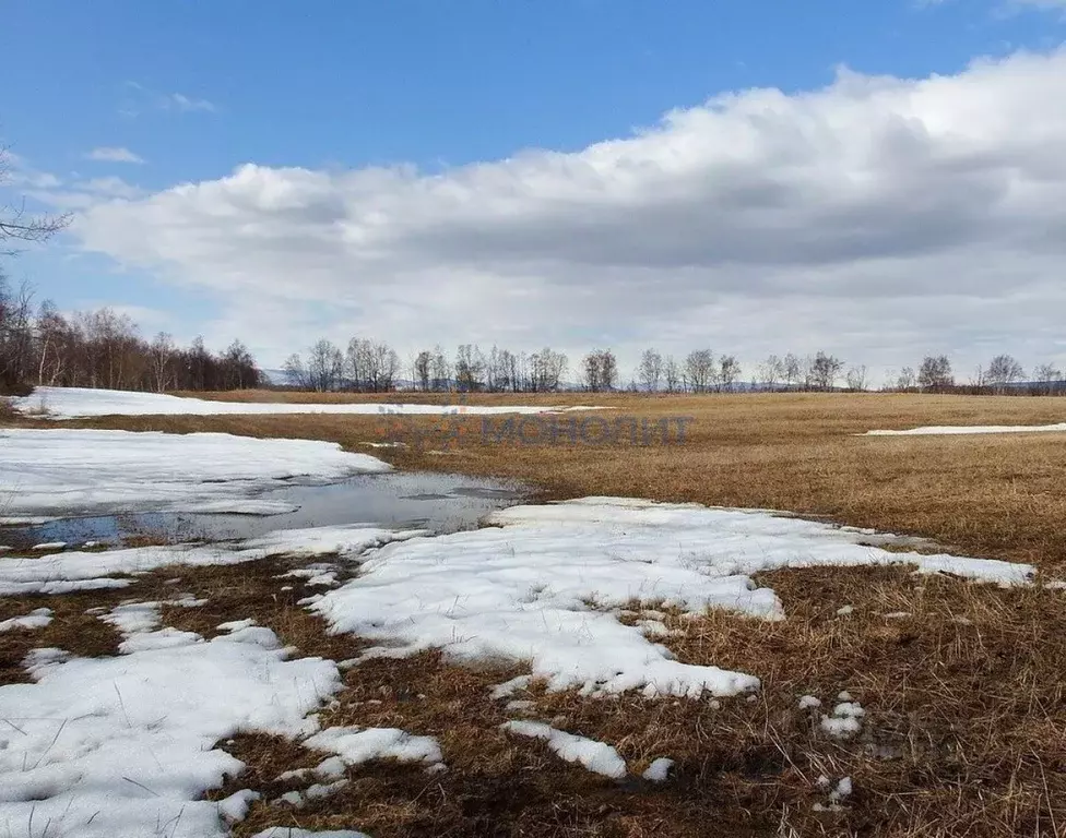 Участок в Нижегородская область, Сергачский муниципальный округ, с. ... - Фото 1