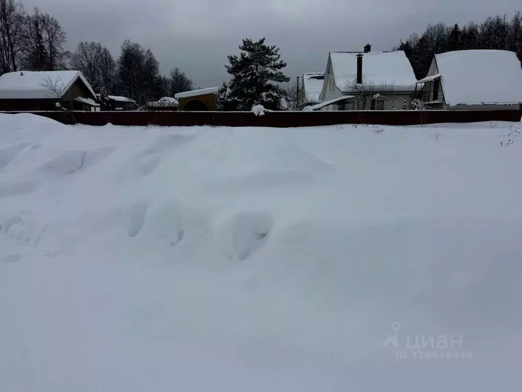 Участок в Московская область, Пушкинский городской округ, д. Алешино ... - Фото 2