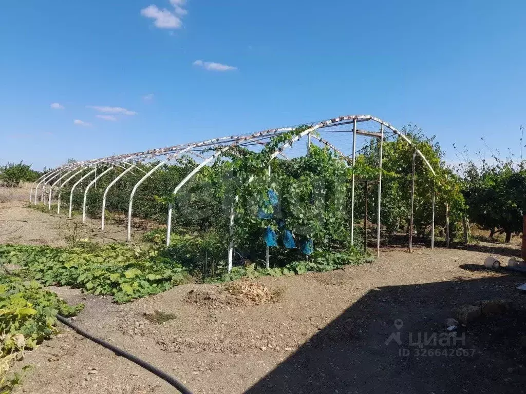 Участок в Крым, Бахчисарайский район, с. Вилино  (161.95 сот.) - Фото 1