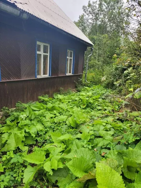 Дом в Московская область, Пушкинский городской округ, Ашукино пгт, ... - Фото 0