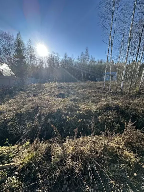 Участок в Московская область, Подольск городской округ, д. Пузиково, ... - Фото 1