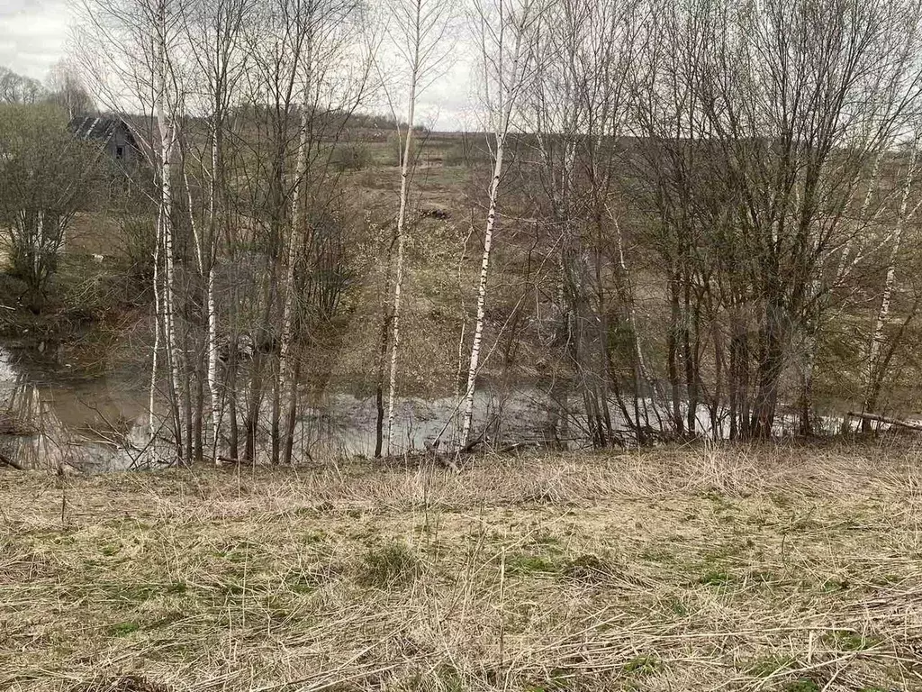 Участок 10,4 сот. (ИЖС) - Фото 1