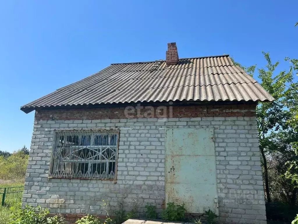 участок в воронежская область, борисоглебский городской округ, с. . - Фото 1