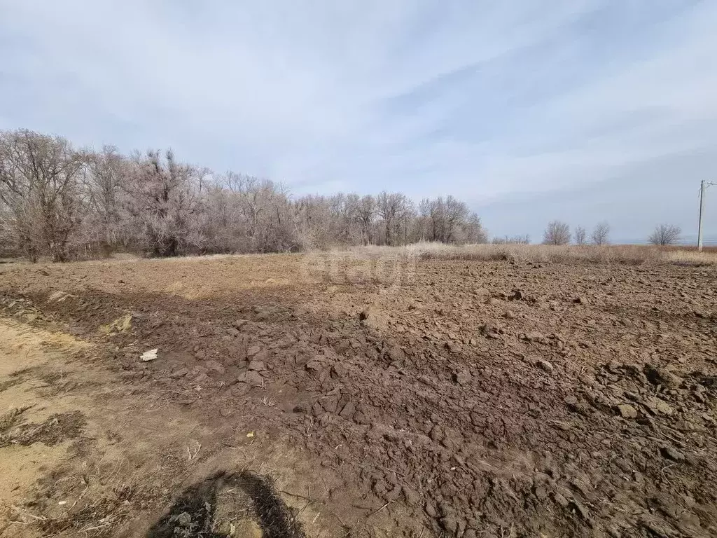 Участок в Волгоградская область, Дубовка Приволжская ул., 51 (9.6 ... - Фото 2