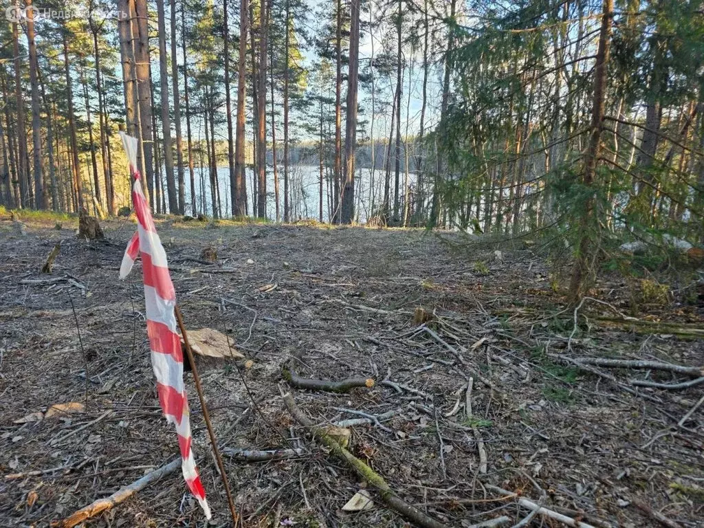 Участок в Республика Карелия, Лахденпохский муниципальный округ, ... - Фото 2