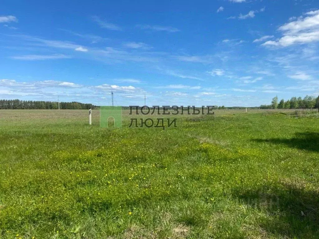 Участок в Татарстан, Зеленодольский район, Айшинское с/пос, с. Айша ... - Фото 0