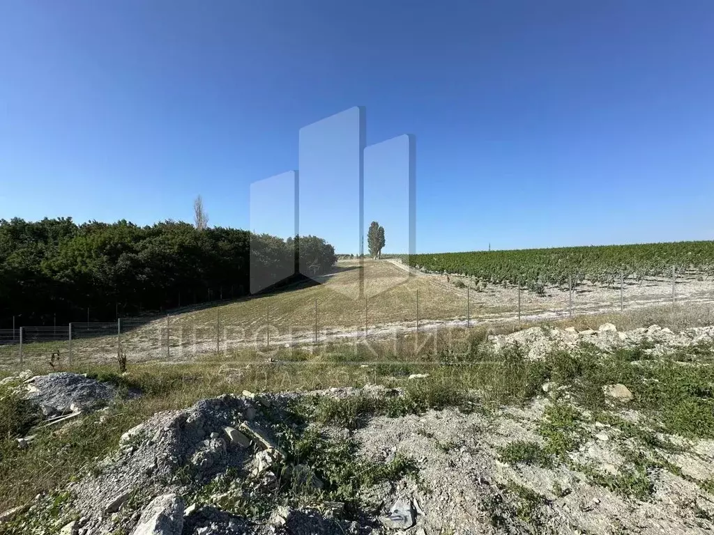Участок в Краснодарский край, Новороссийск городской округ, с. Мысхако ... - Фото 1