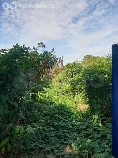 Участок в станица Новотитаровская, улица Ленина, 74 (20 м) - Фото 1