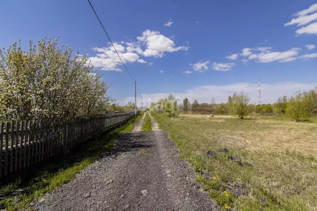 Участок в Тюменская область, Ялуторовский муниципальный округ, СО ... - Фото 1