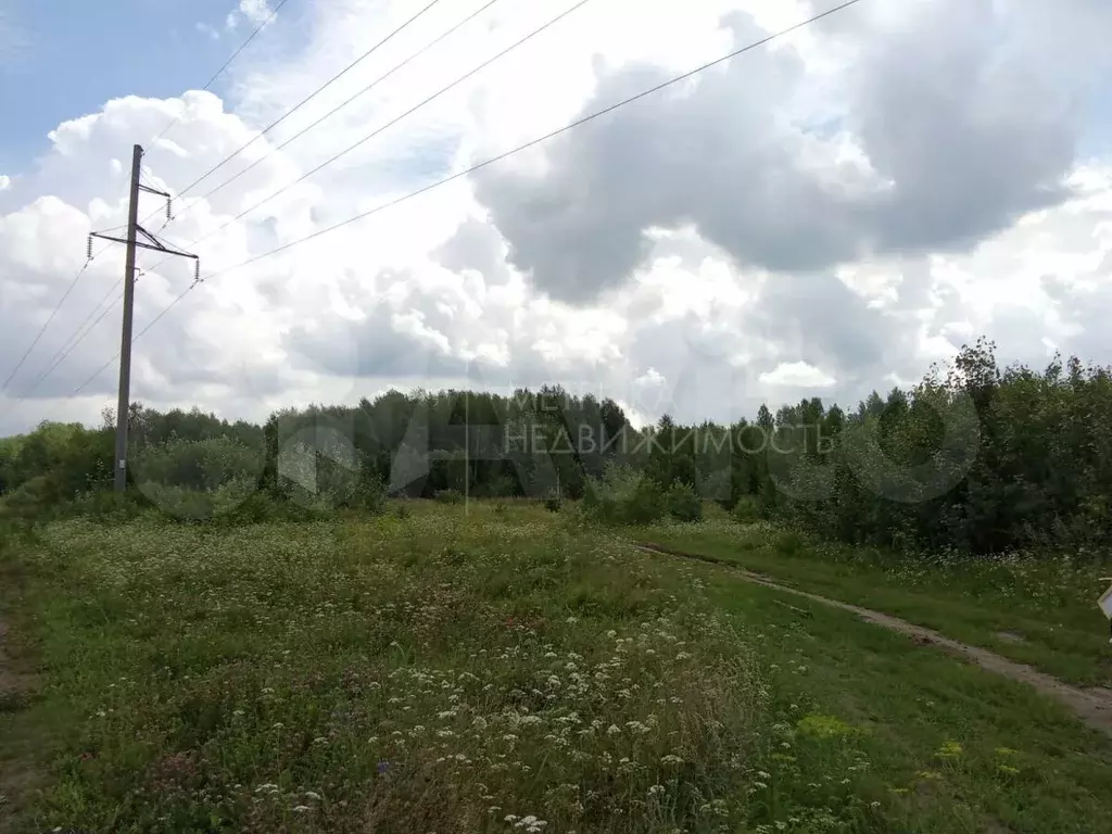 Участок 11 сот. (СНТ, ДНП) - Фото 0
