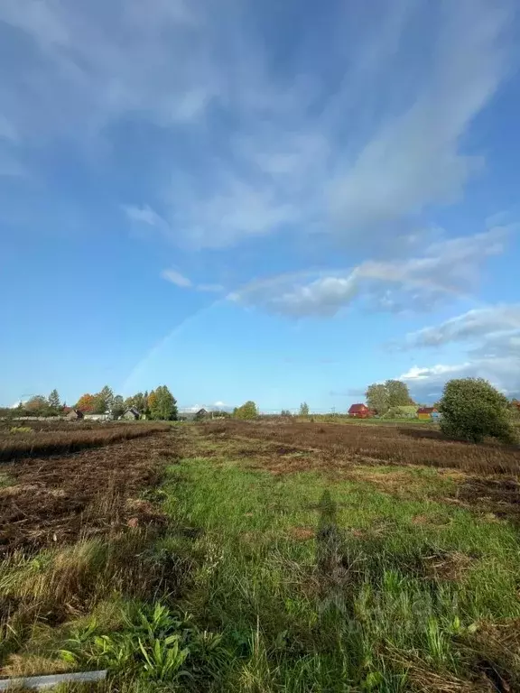 Участок в Ленинградская область, Волосовский район, Рабитицкое с/пос, ... - Фото 1