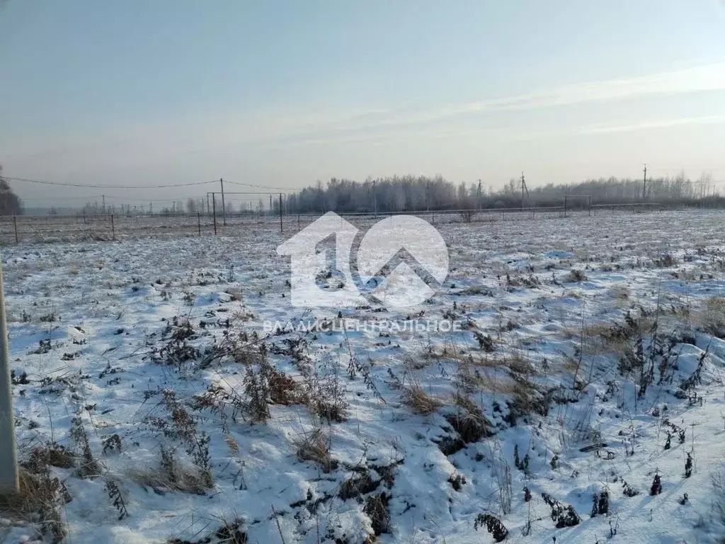 Участок в Новосибирская область, Новосибирский район, Криводановский ... - Фото 0