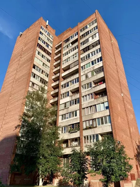 Комната Санкт-Петербург просп. Ударников, 17к1 (12.6 м) - Фото 0