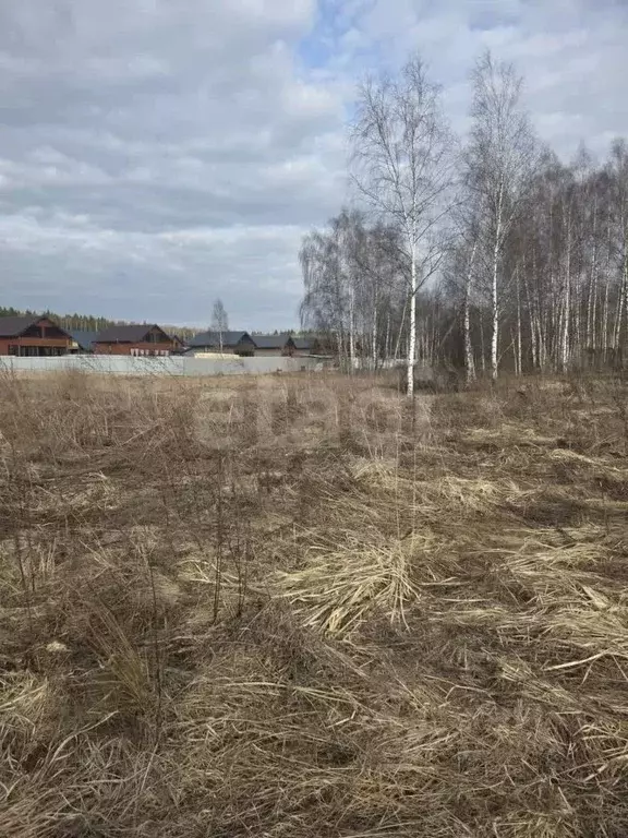 Участок в Калужская область, Боровский муниципальный округ, Совьяки ... - Фото 0